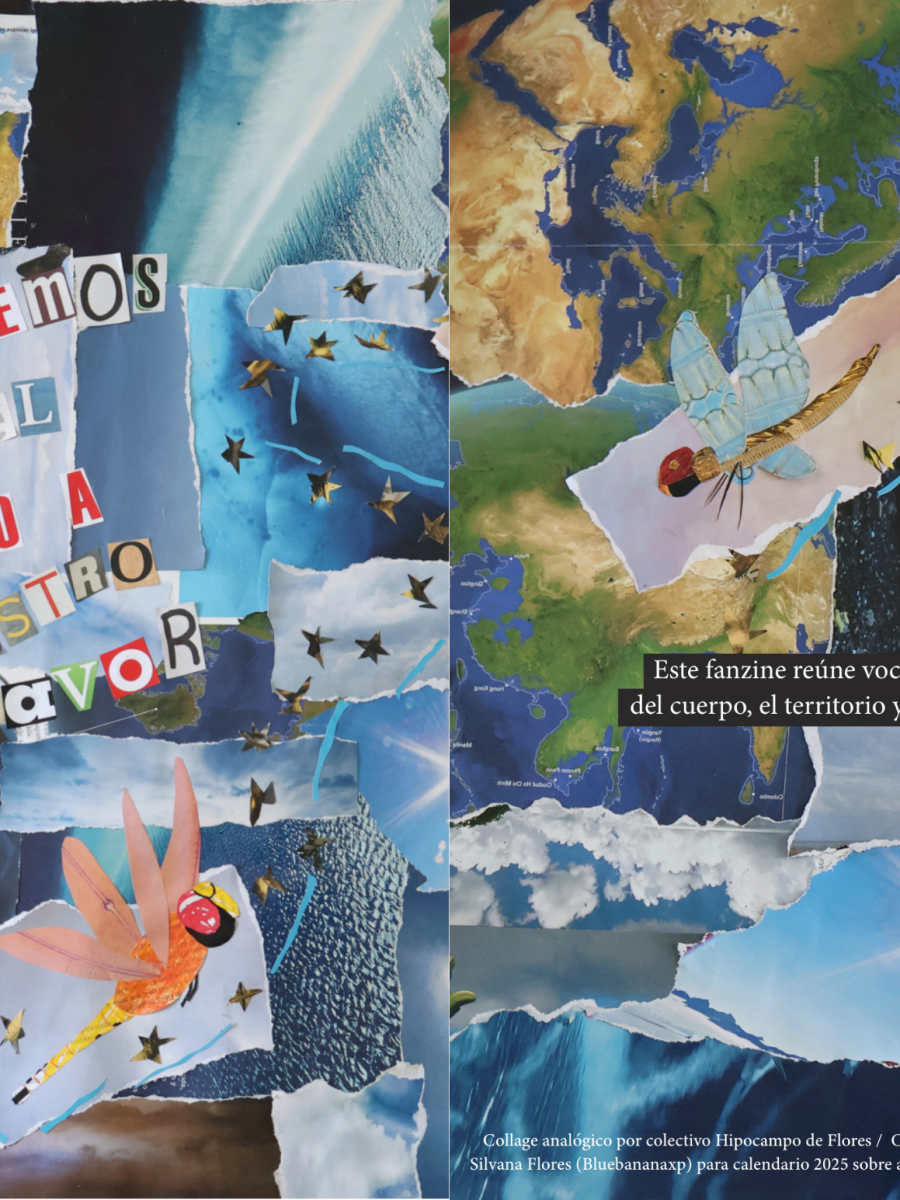 Navegar con el viento a nuestro favor: un fanzine sobre los mundos que sostienen la&nbsp;vida